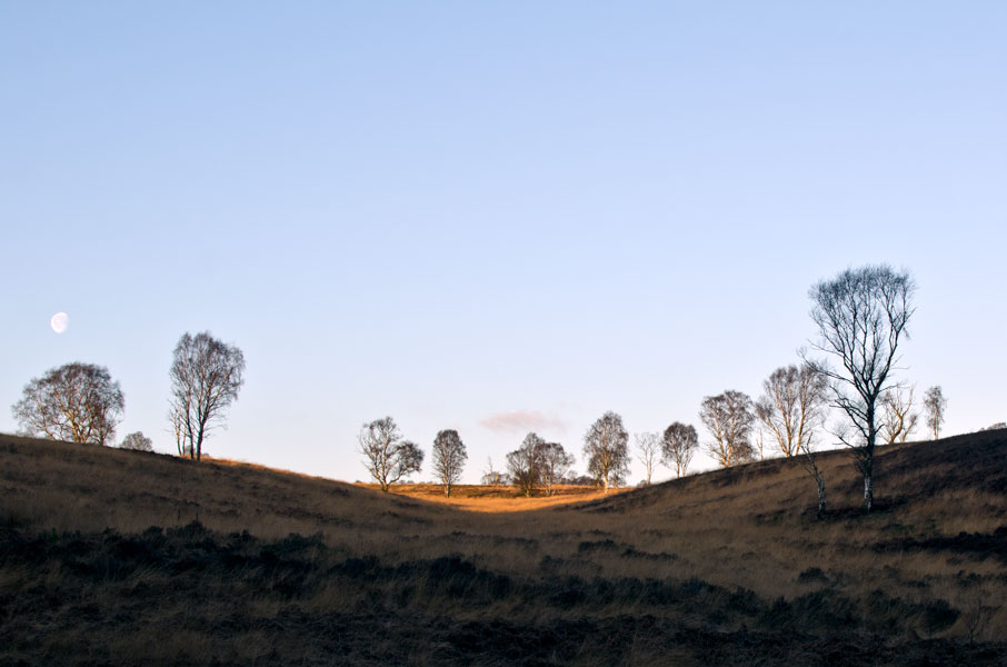 01JAN2013NewYearsWalk