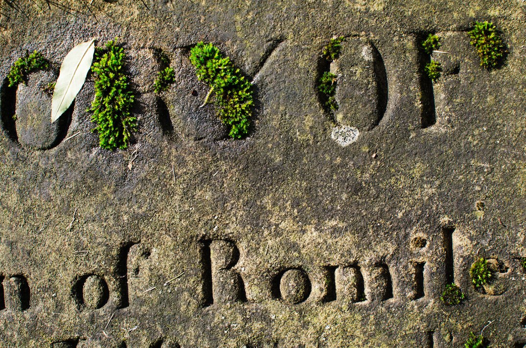 20121022WordByMoss01