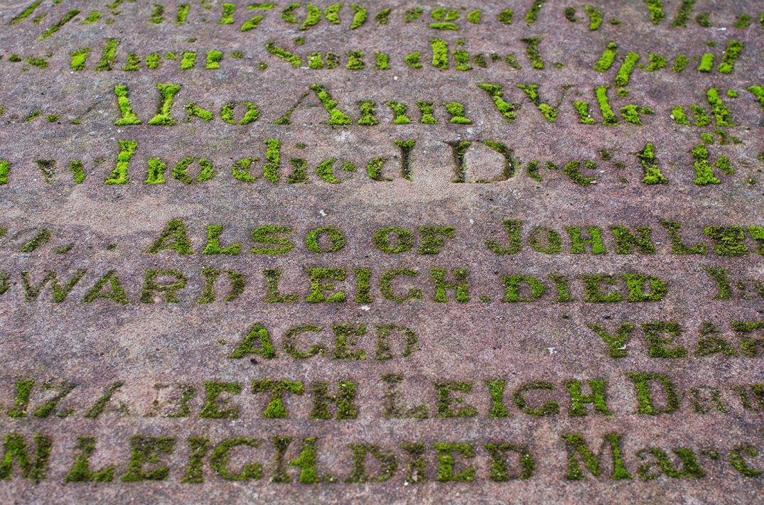 20121022WordByMoss02