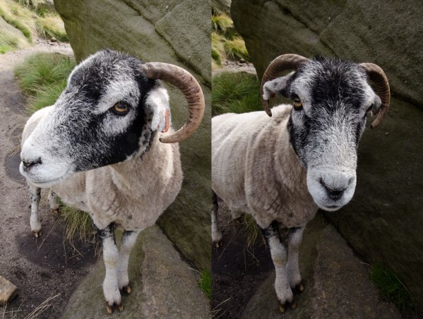 20130811KinderScout02