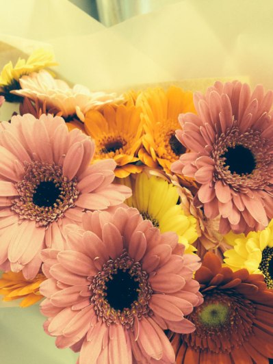 20140223windowshopping01