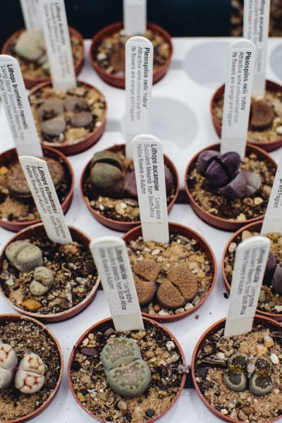 20140223windowshopping02